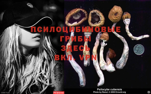 синтетический гашиш Арсеньев
