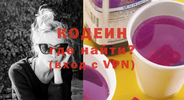 шишки Покачи